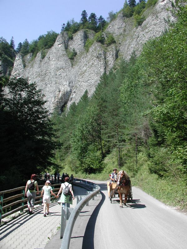 pepajs.cz